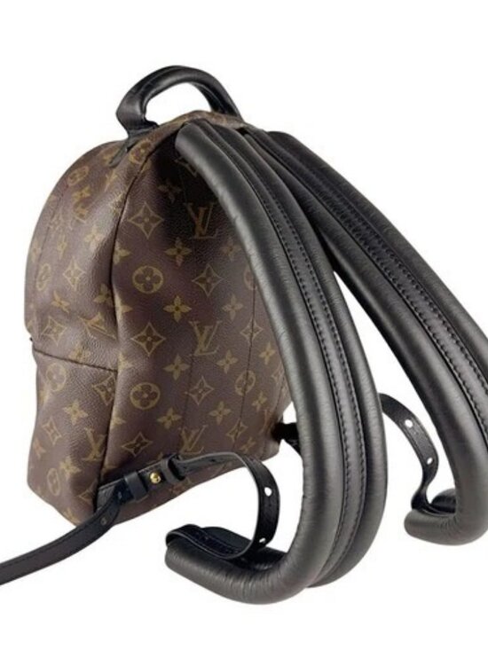Auth LOUIS VUITTON Monogram Palm Springs PM Backpack Brown M44871 - z9619 main image 4